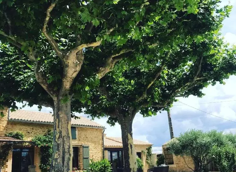 Aamiaismajoitus (B&B) Le Mas Andoli