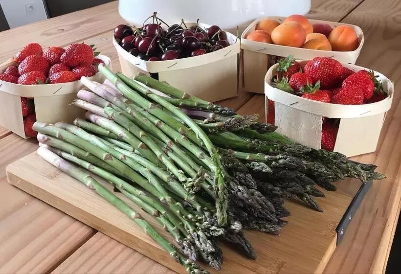 Aamiaismajoitus (B&B) Le Mas Andoli