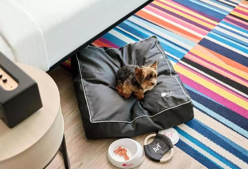 Hotelli Aloft Trophy Club Westlake