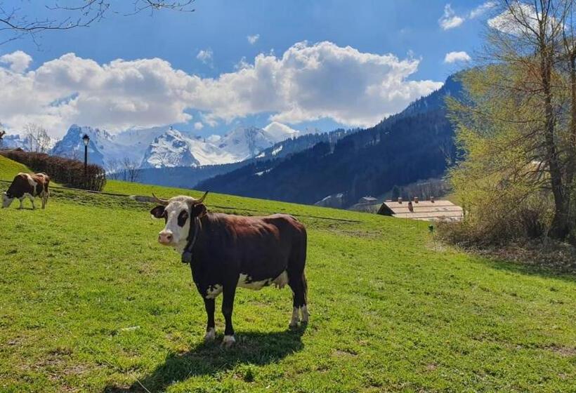 فندق Le Rookie Mountain