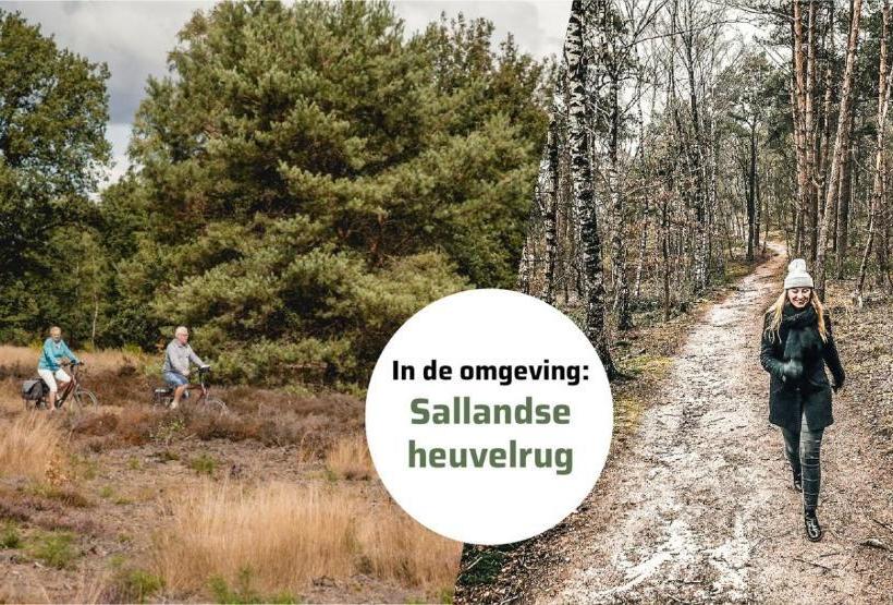 Resort Salland 4 Persons