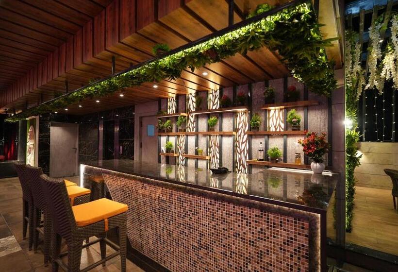 旅馆 Pradeep Star Inn