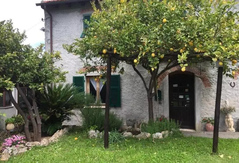 ホテル Agriturismo I Lamoi