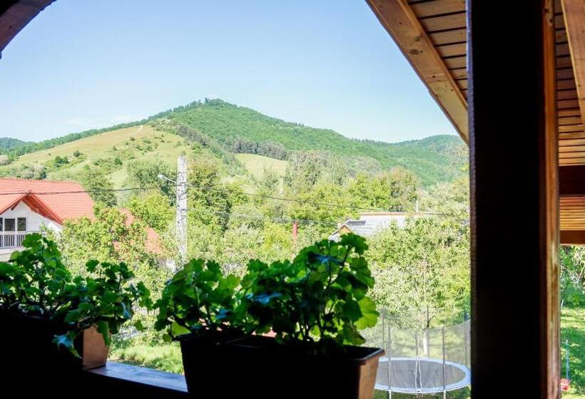 Pensiunea Casa Ancuta