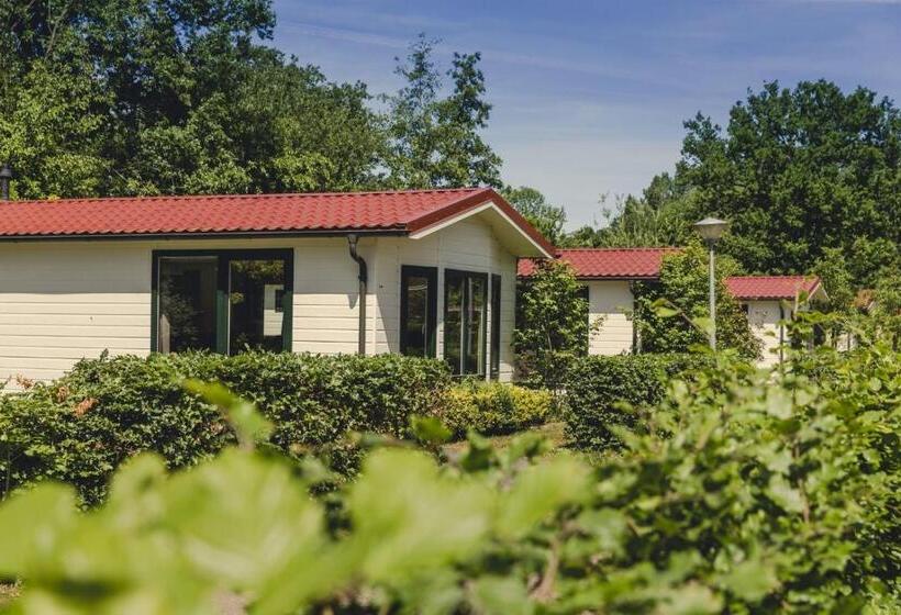 استراحتگاه Bungalette Sauna 6p