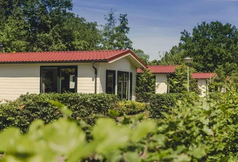 リゾートホテル Bungalette Sauna 6p