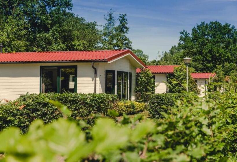 استراحتگاه Bungalette Sauna 6p