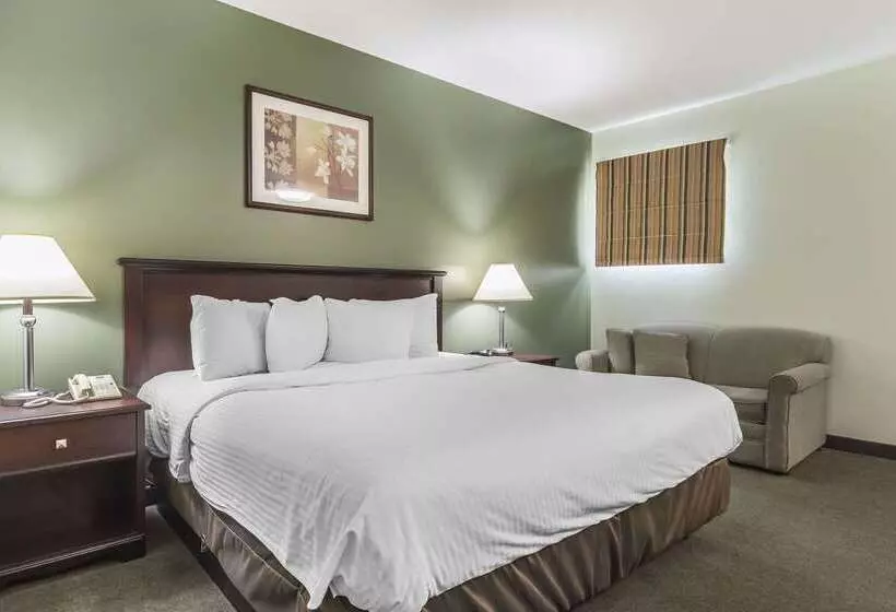 酒店 Econolodge Huntsville