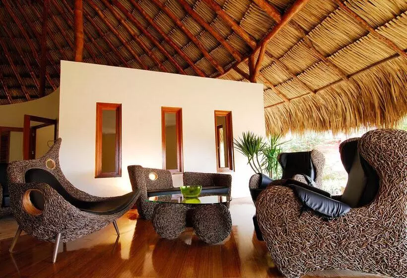 هتل Morena Resort