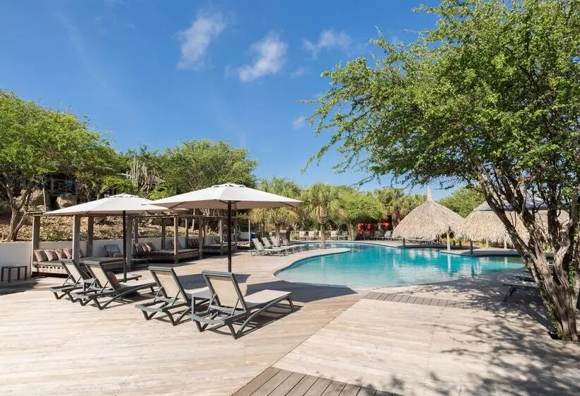 هتل Morena Resort