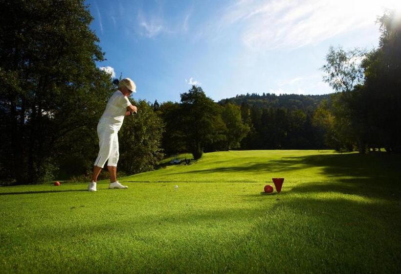 Отель Schwarzwald Panorama