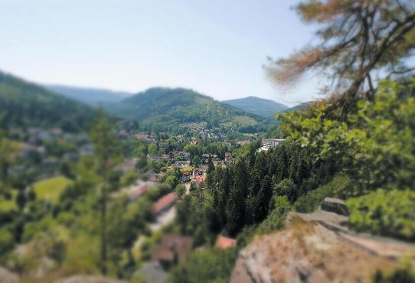 Отель Schwarzwald Panorama