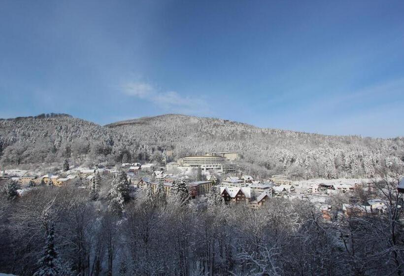 Отель Schwarzwald Panorama