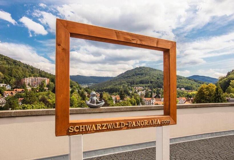 Отель Schwarzwald Panorama