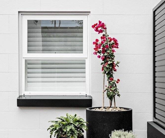 בית מלון כפרי St Marks Randwick