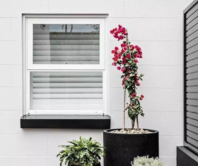 Otel St Marks Randwick