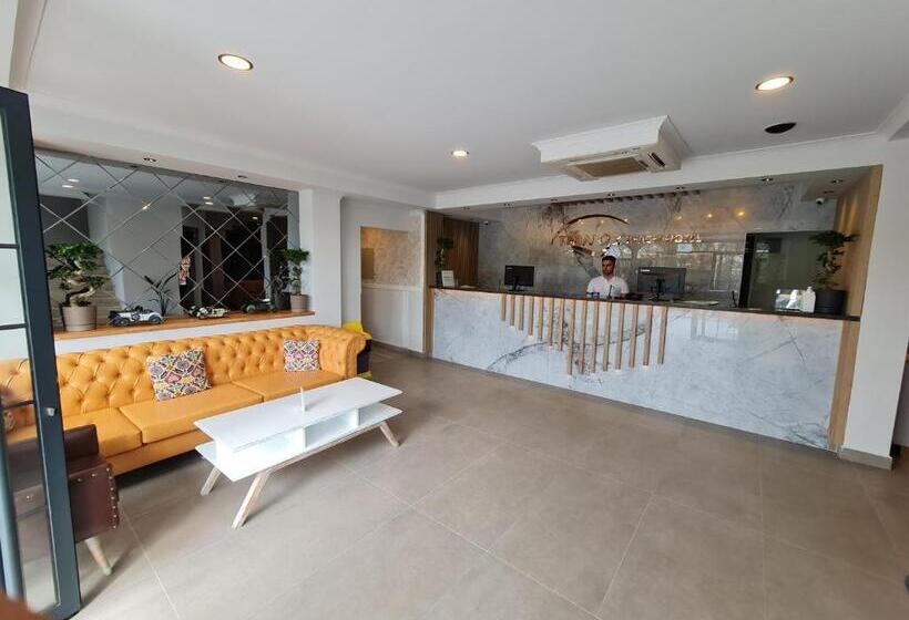 فندق Tonoz Beach