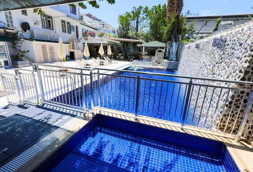 فندق Tonoz Beach