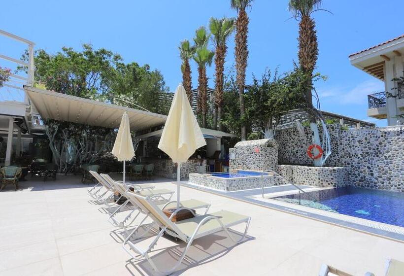 فندق Tonoz Beach