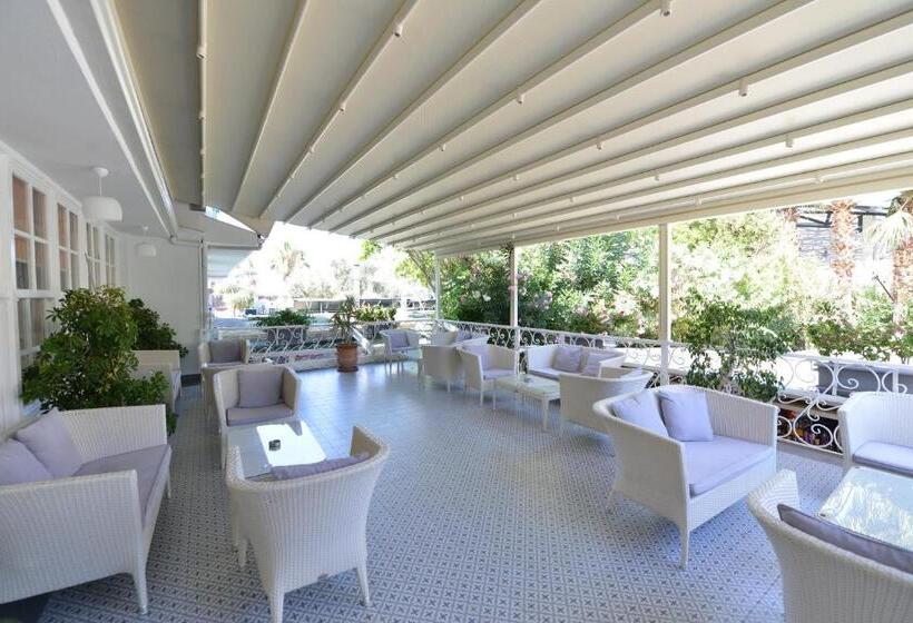 فندق Tonoz Beach