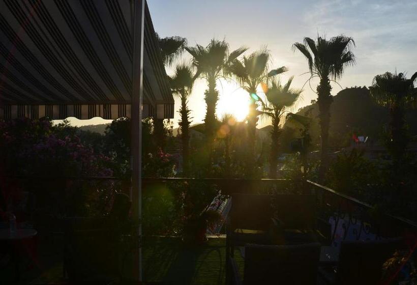 فندق Tonoz Beach