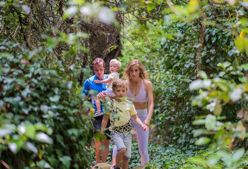 Monchique Resort & Spa