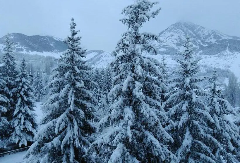 Sno Edelweiss