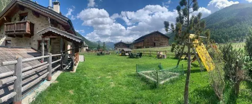 Baita Pomo