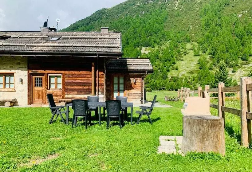 Baita Pomo