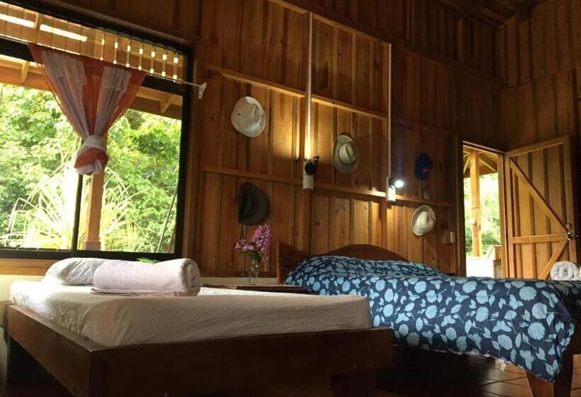 住宿加早餐  Birds & Breakfast Costa Rica