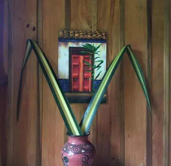 Aamiaismajoitus (B&B) Birds & Breakfast Costa Rica