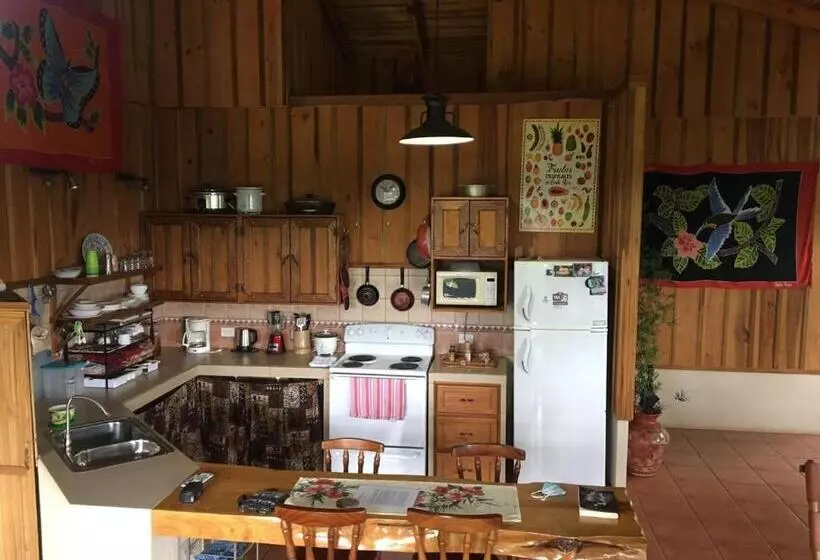 Aamiaismajoitus (B&B) Birds & Breakfast Costa Rica