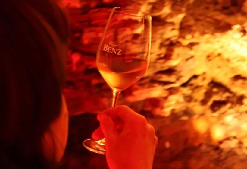 ホテル Benz Weingut & Wein