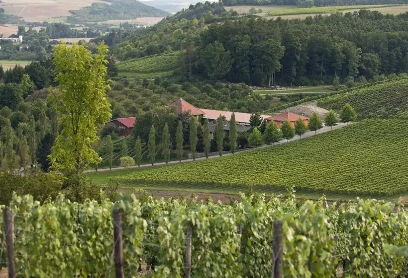 ホテル Benz Weingut & Wein