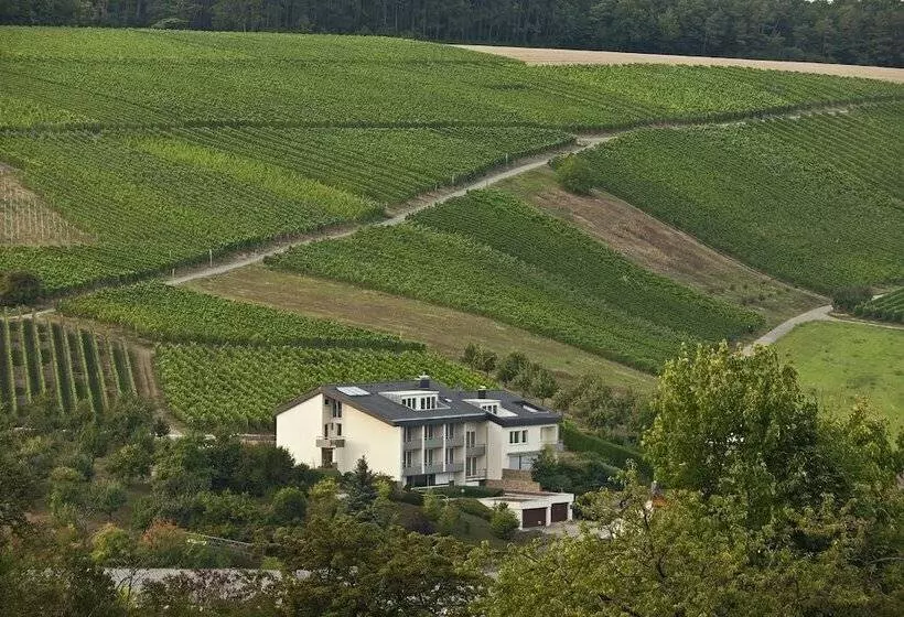 ホテル Benz Weingut & Wein