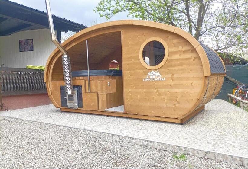 پانسیون Casa Câmpulungeană