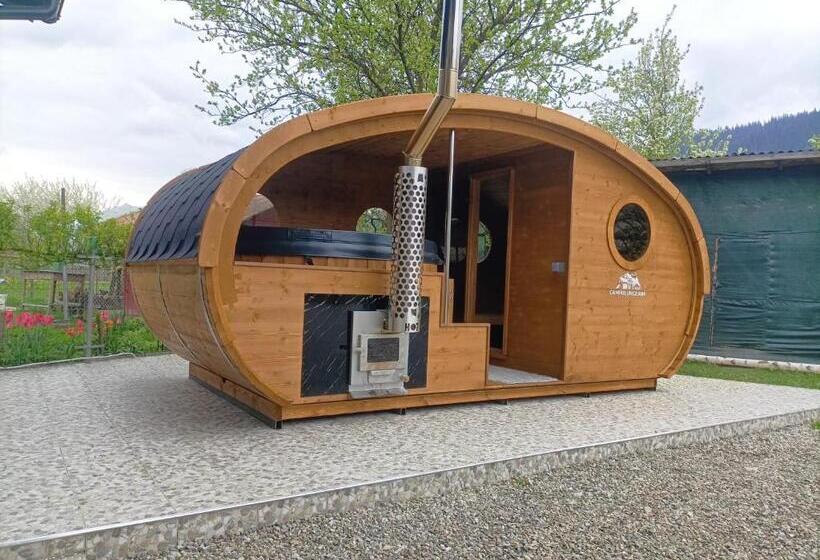 پانسیون Casa Câmpulungeană