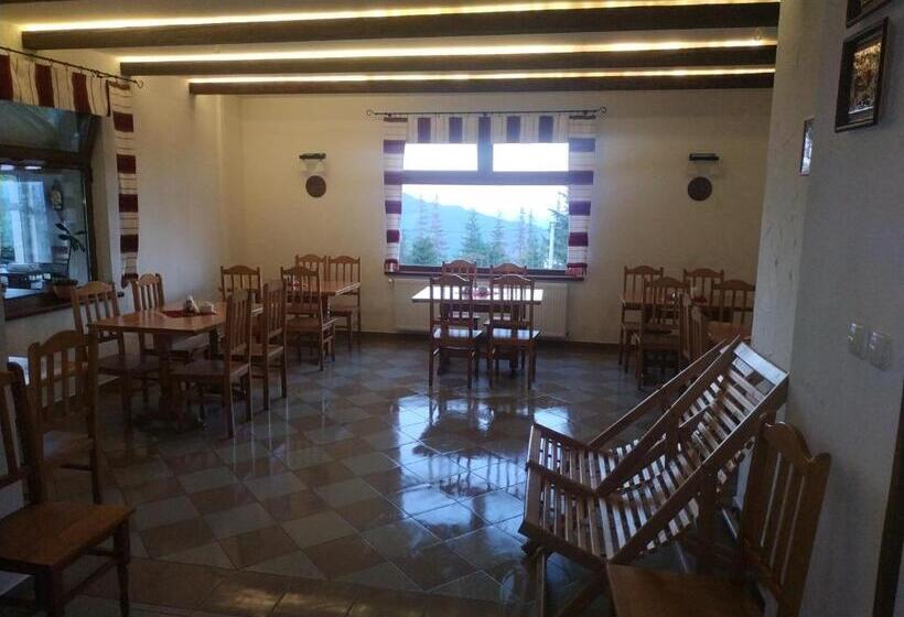 Hotel оселя драгобрат