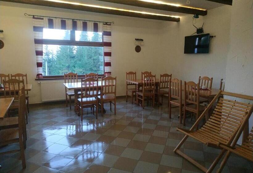 Hotel оселя драгобрат