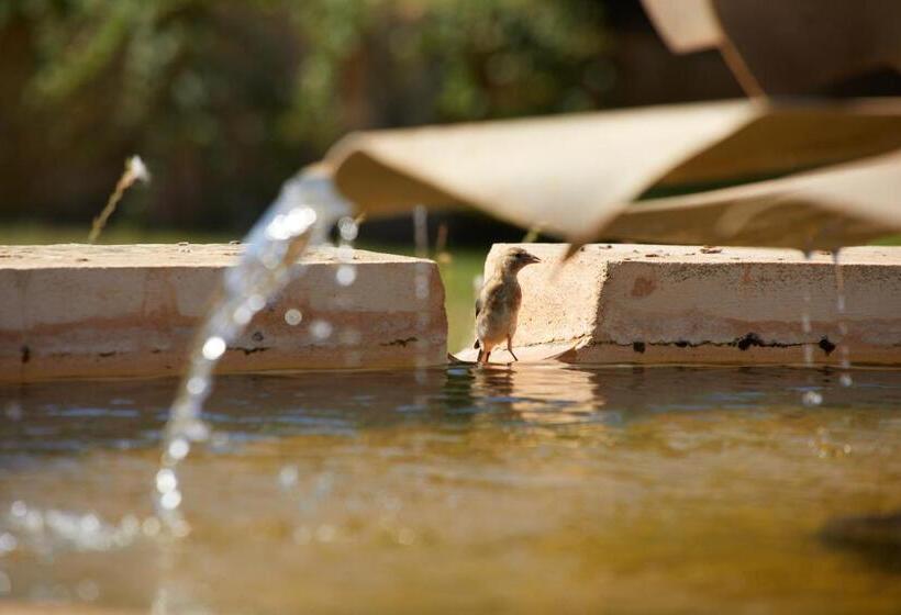 هتل Cantó De Marina  Adults Only