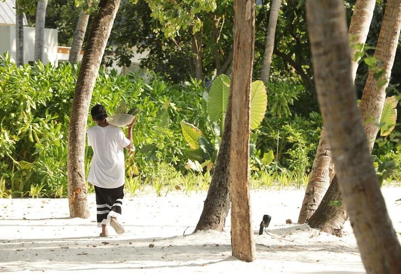 استراحتگاه Kuda Villingili Maldives