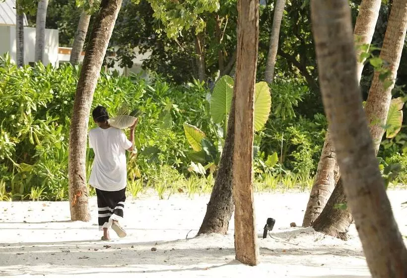 استراحتگاه Kuda Villingili Maldives