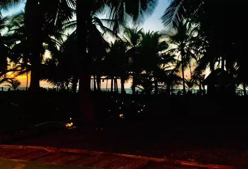 ペンション Playa Jaguar   Beach Club