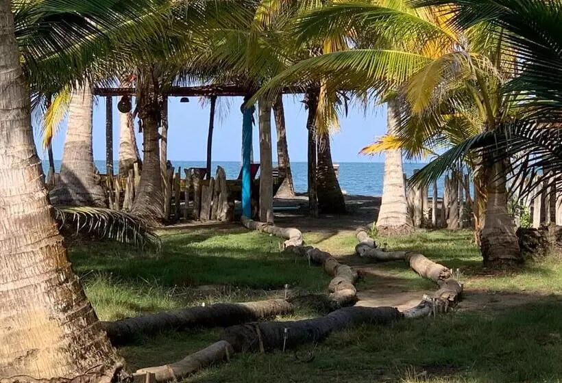 ペンション Playa Jaguar   Beach Club