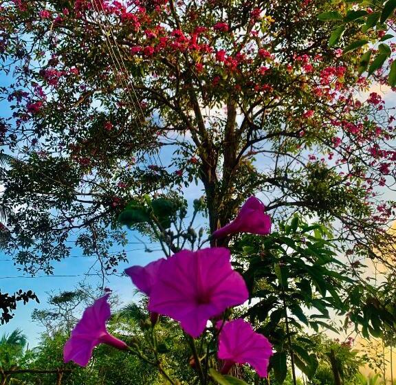 پانسیون Playa Jaguar   Beach Club