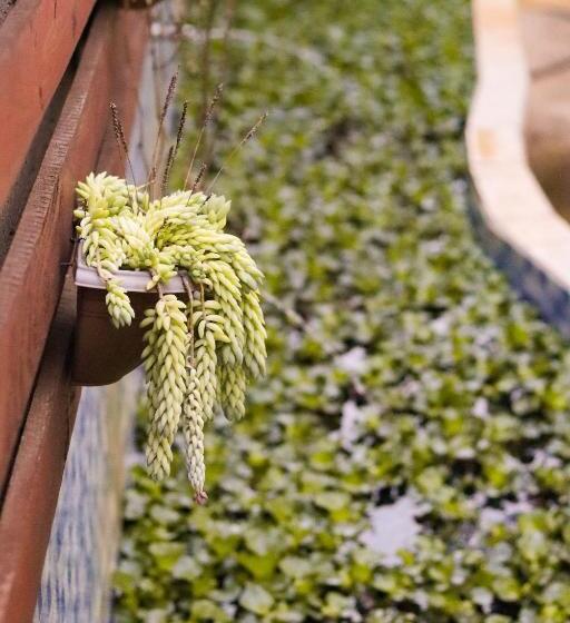 펜션 Pousada Do Ribeirão