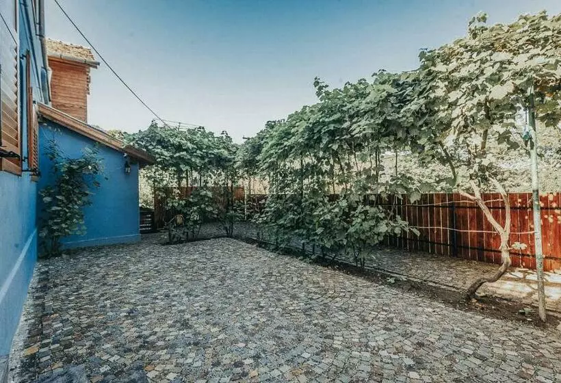 Pensiunea Zidul Cetății