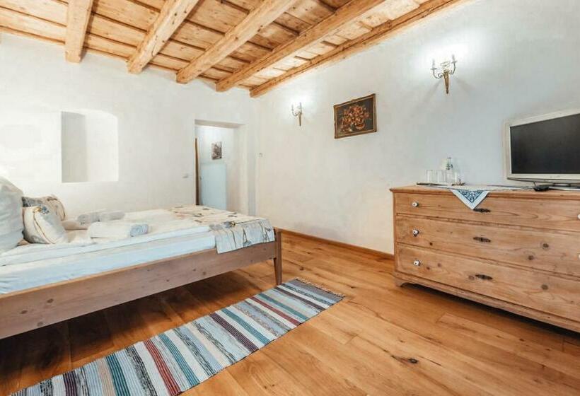 Pensiunea Zidul Cetății