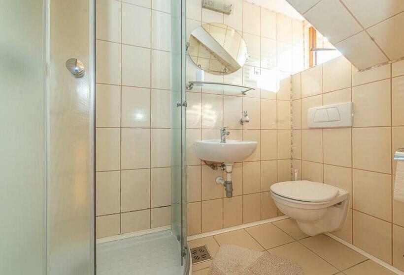 Pensiunea Zidul Cetății