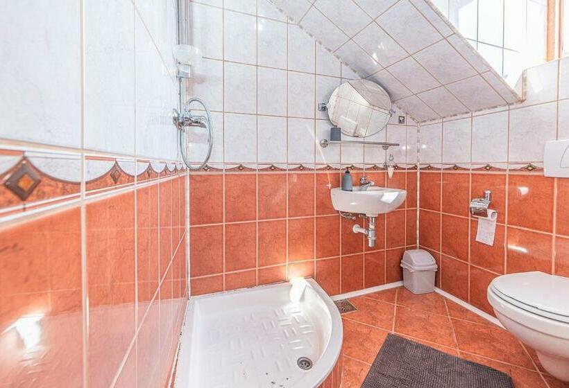 Pensiunea Zidul Cetății